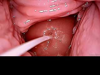 Samička si užíva s amatérom